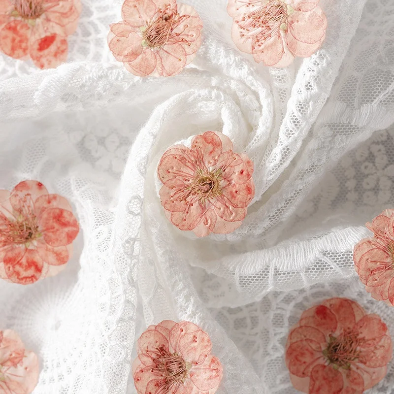 wholesale DIY material dried chinese plum pressed plum blossom flower for Bookmark Jewelry Postcard and phone case decoration