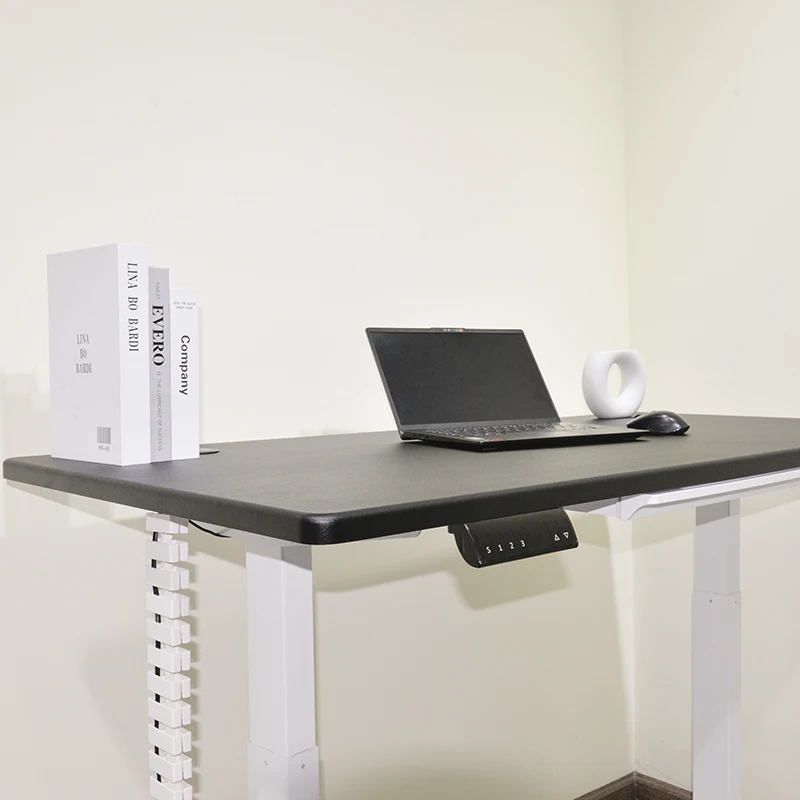 Standing Desks Raise Electric Ergo Sit Stand Height Adjustable Desk