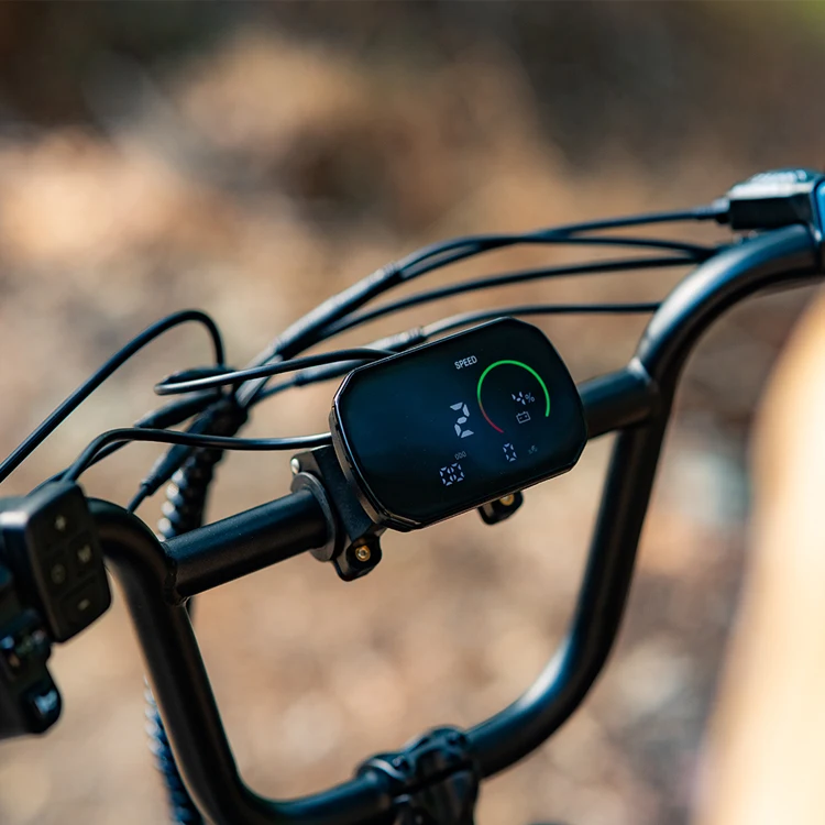 dynavolt lithium battery 48V 20 inch electric bike electric bike 1000W motor cycles