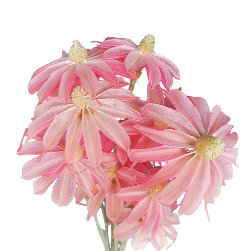 Cheap Price New Arrived  Dried Artificial Flowers  Preserved Handmade Gem Orchids Flower For Home Decor