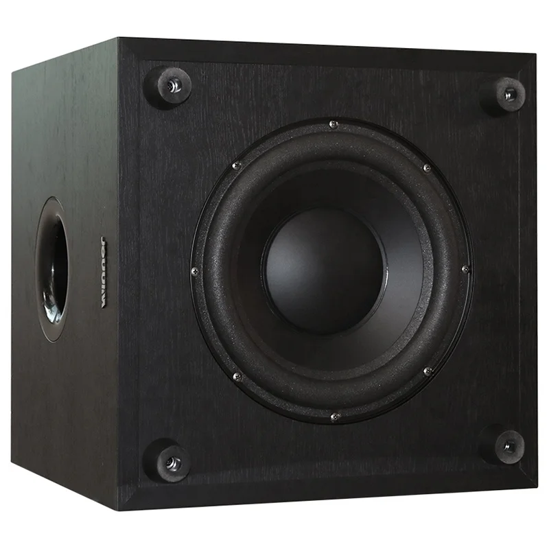 ToneWinner factory supply 10 subwoofer box bass speaker home subwoofers audio 200W wooden hifi big heavy sub woofer