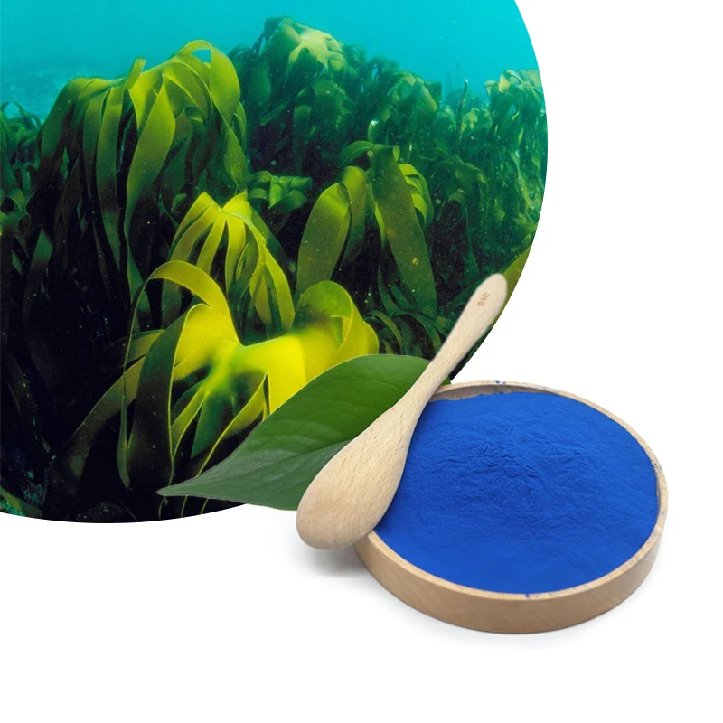 China Manufacturer Supply blue Organic spirulina blue Pure Organic  phycocyanin powder price phycocyanin powder