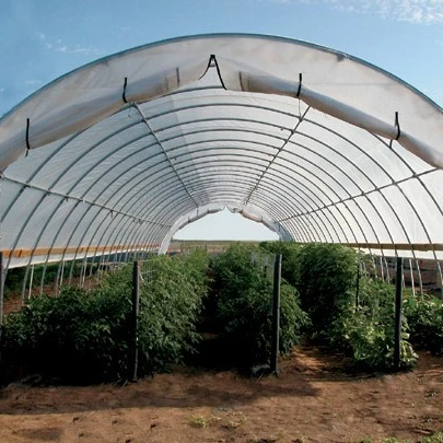 
 Agricultural Multi Span/Single Span Polycarbonate film greenhouse Complete Set of design Factory sale directly  