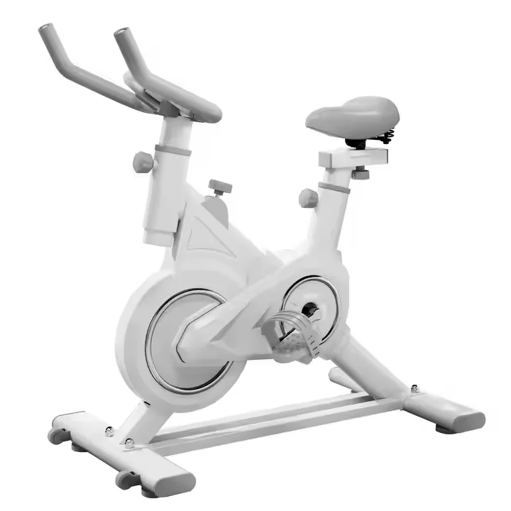 Stationary Sport Static Bicycle Silent Ergonomic Exercise 100kg Spinning Bike For Indoor Gym
