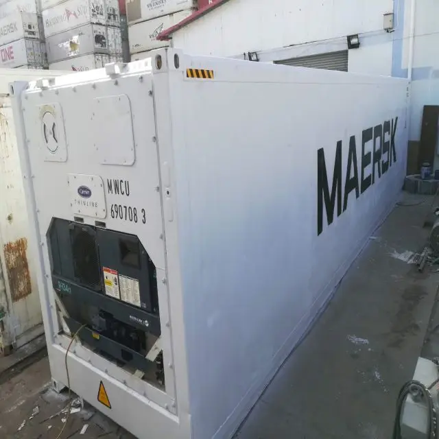 hot sale used cold container for fish to Africa