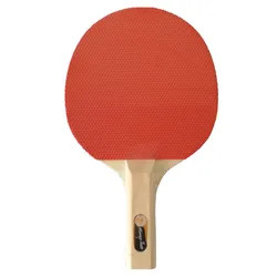 Hot sales cheap factory provide directly professional table tennis rackets/pingpong paddles 1 star