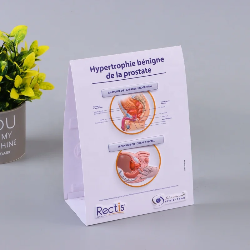 customized 3D Medical Human Anatomy Wall Chart / Poster - desk poster