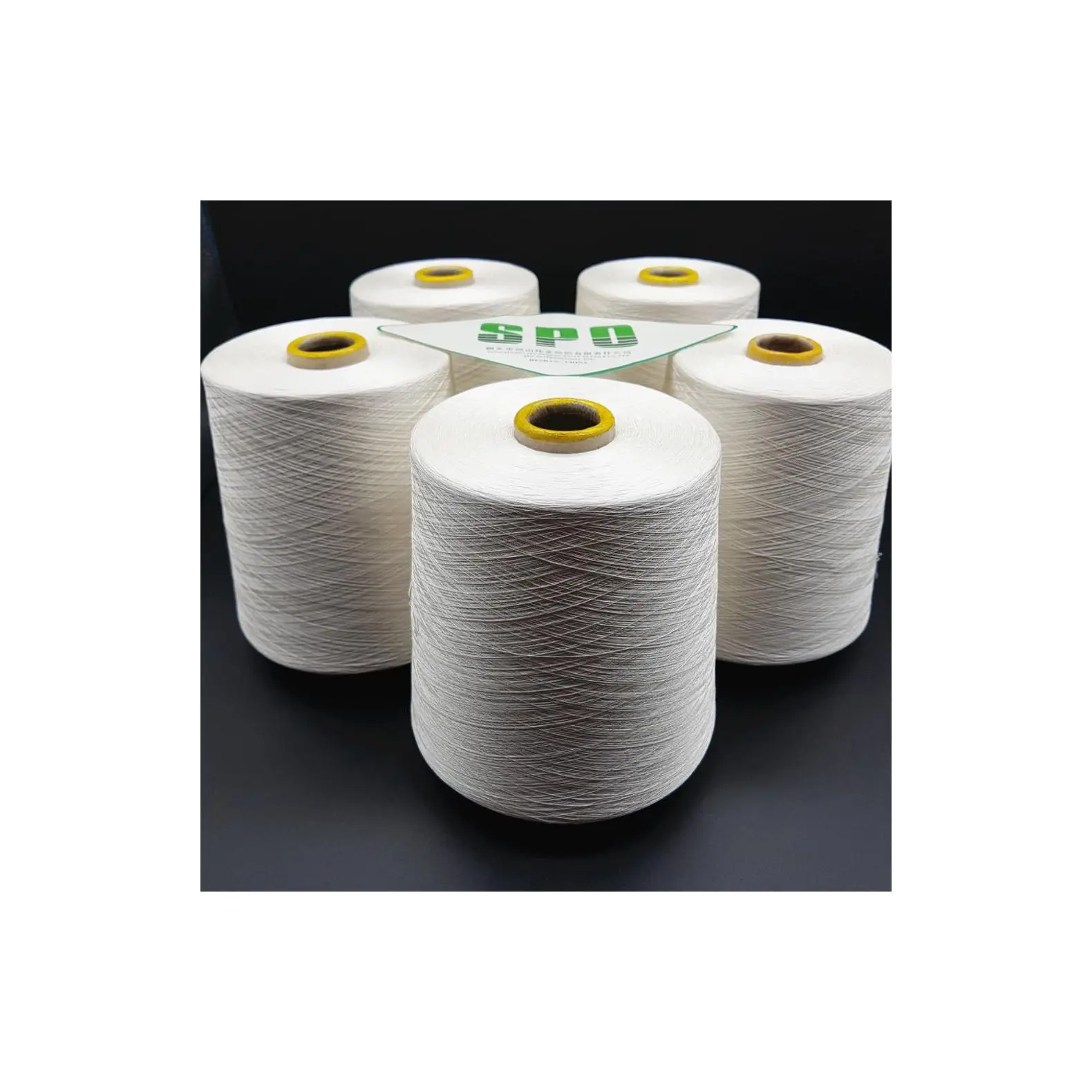 Premium Brand Affordable Chinese Ice Silk Yarn Anti-Bacteria Silk Yarn 100%