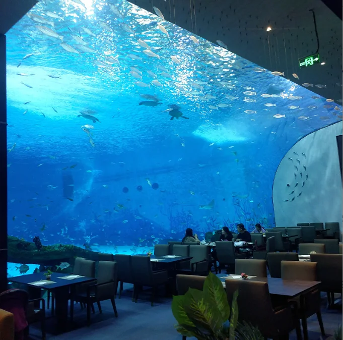 Prima Underwater Acrylic Glass Tunnel Aquariums for Houses,  Invisible Underwater Tunnel With Acrylic Glass for Projects Use