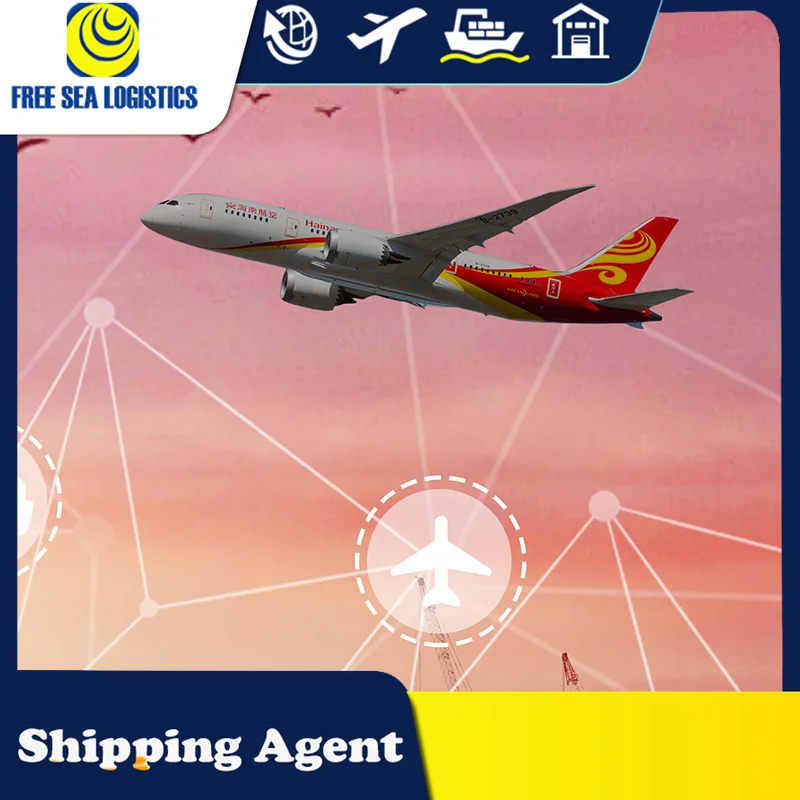 Best professional and reliable international physical shipping from China to Malaysia/Philippines ddp shipping