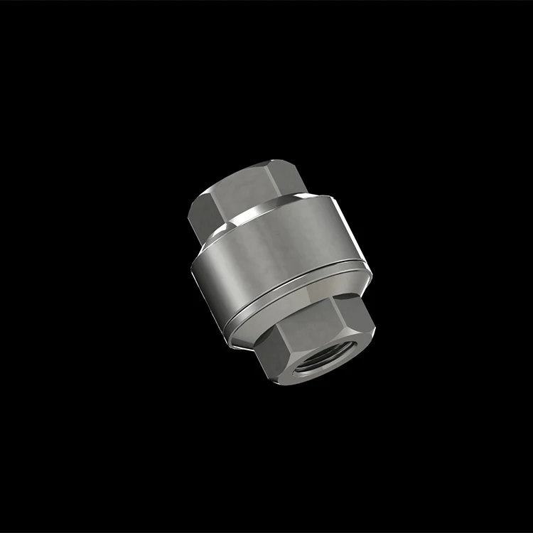 SINOTECH Spring Check valve Stainless Steel 316L material