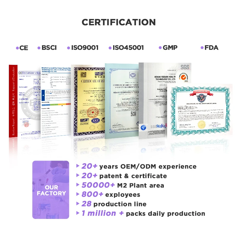 Disposable Urine Super Absorbent Basics Dog Pet Training And Puppy Pee Pad 100 Pack Pet Sheets