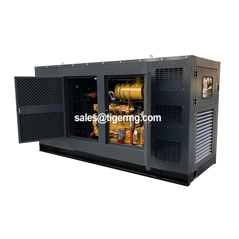 CE & ISO certified 22kw natural gas home generator powered with Weifang engine