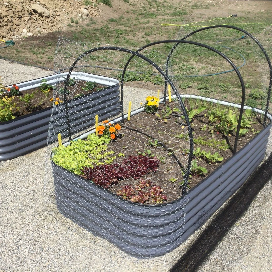 Metal Raised Garden Beds Steel Large Planter Box Outdoor Flower Pot