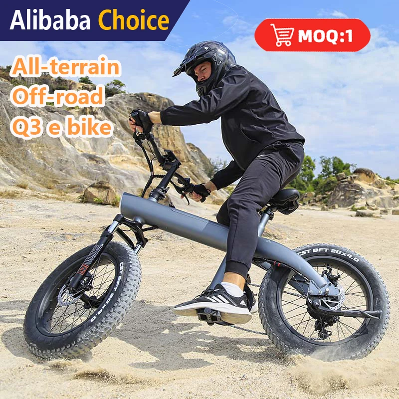 Factory Wholesale Custom Available Q3 20 Inch Outdoor Fat Tire Road Electric Hybrid Bike Long Range Mountain Electric E Bicycle