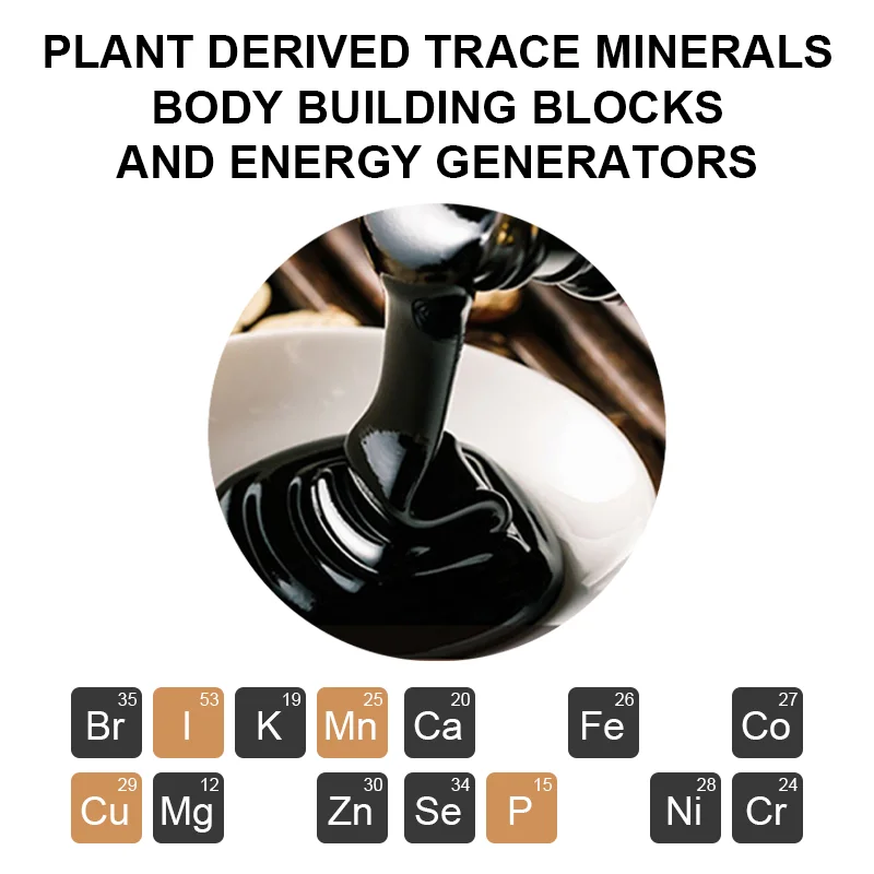 Lifeworth OEM Shilajit Capsules trace mineral with magnesium salt Rich Humic Fulvic Acid extract shilajit resin capsules