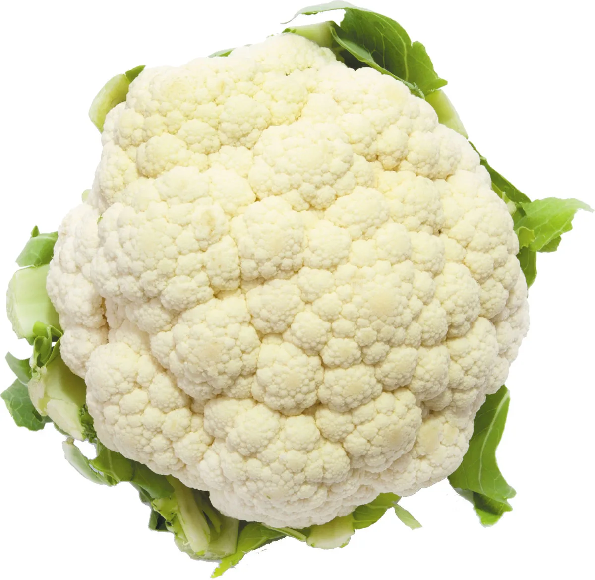 
Nutritive Fresh And Quality Cauliflower From Srilanka For Sale 