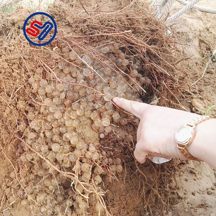 Hydrogel Powder de Potassium Polyacrylate Super Absorbent Polymer retainer water gel hydrogel for agriculture  plant