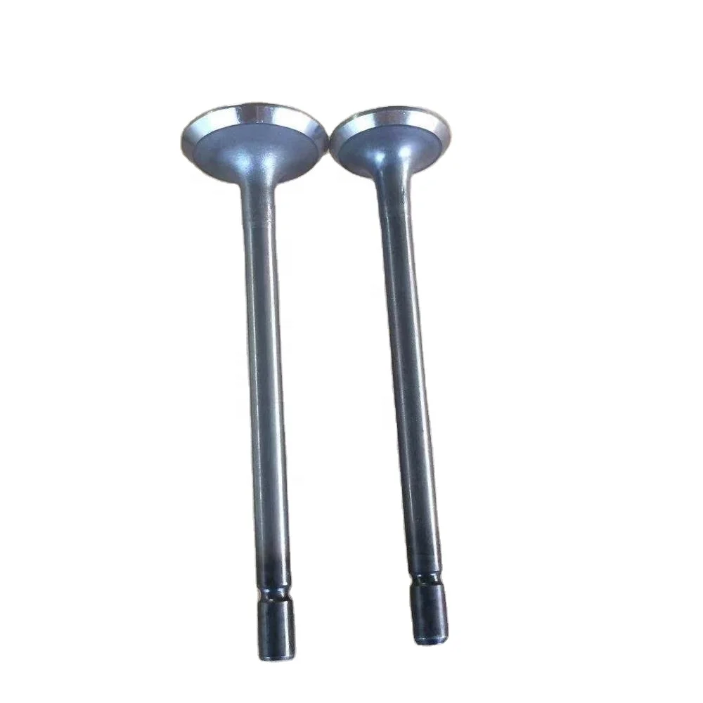Car engine parts 9002816 9002817 for Wuling and chevrolet engine valve