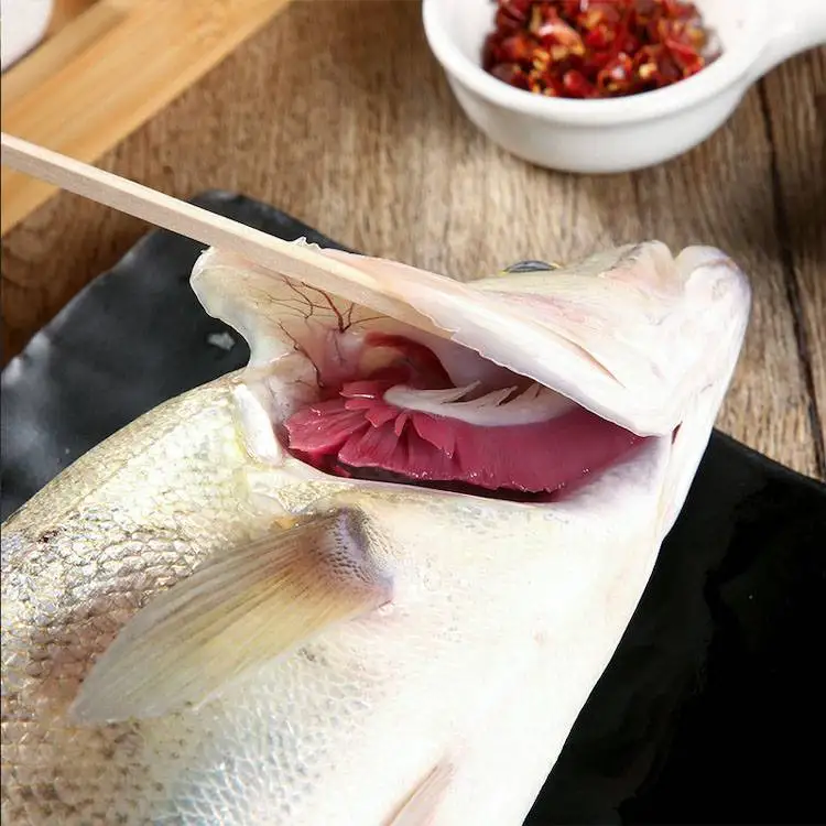 bass fish Japanese Sea Bass Lateolabrax japonicus