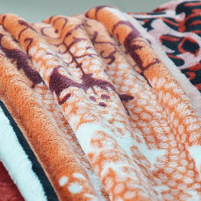 100% Polyester Design Double Printing 220*240 Flannel Blanket