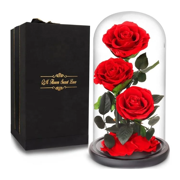 OEM Perfect Valentines Day Gifts Multiple Colours Eternal Rose Conservata Preserved Everlasting Real Rose Flower in Glass Dome