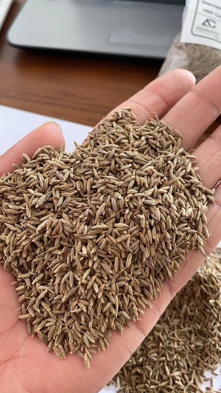  Factory supply high quality cumin