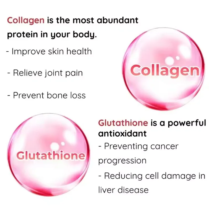 Herbal Supplements ceramide Collagen capsules Anti Aginger Skin Care 3 complex ceramide capsules