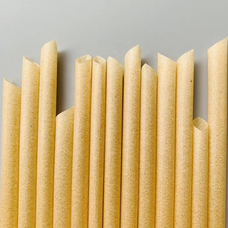Certified Plants Sugarcane Fiber Compostable Straws Drinking Disposable Alternative Paper Non Plastic Eco Earth