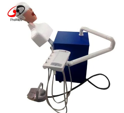 Electric oral training simulation manikin system (test desk optional)