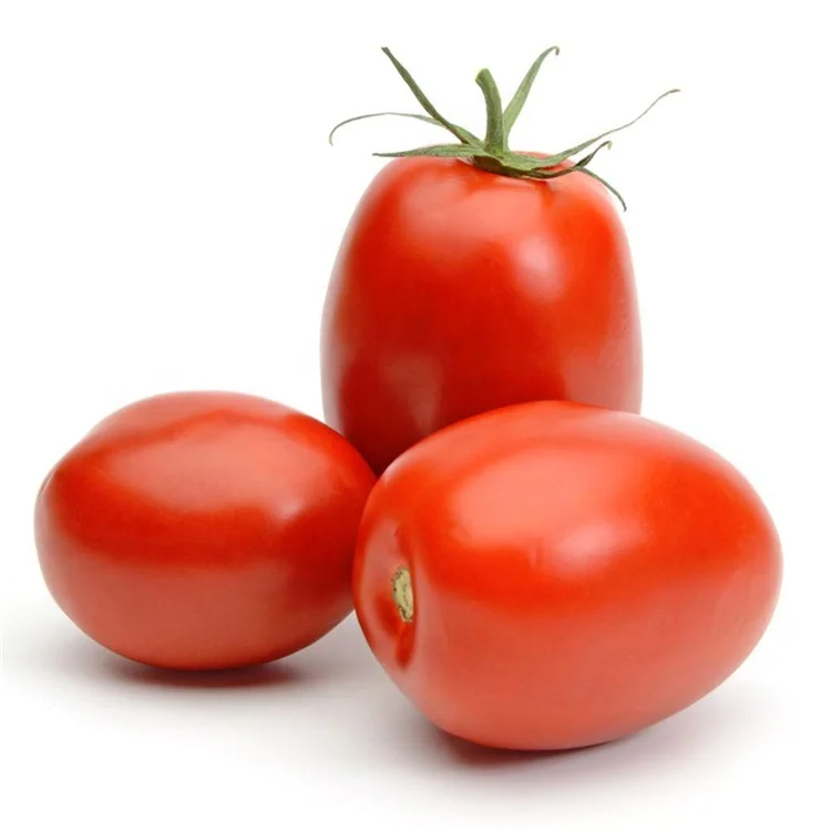 
High Yield Red vegetable Organic roma grande process hybrid f1 tomato seeds israel 9491 
