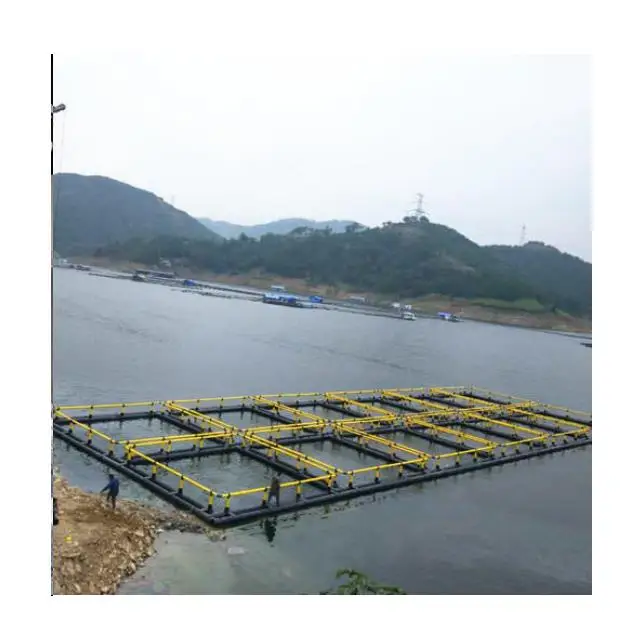 6x6m Square Hdpe Fishing Cage Floating Fish Farming Cage For Pisciculture in river or lake pisciculture equipment