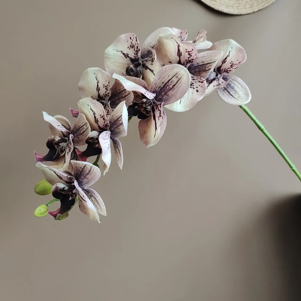 Real Touch Phalaenopsis Flowers   Ultra Realistic Fuchsia Artificial Orchids for DIY Centerpieces, Home  Event