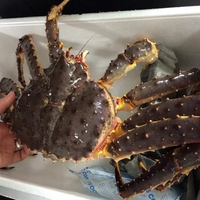 Wild Caught King Crabs