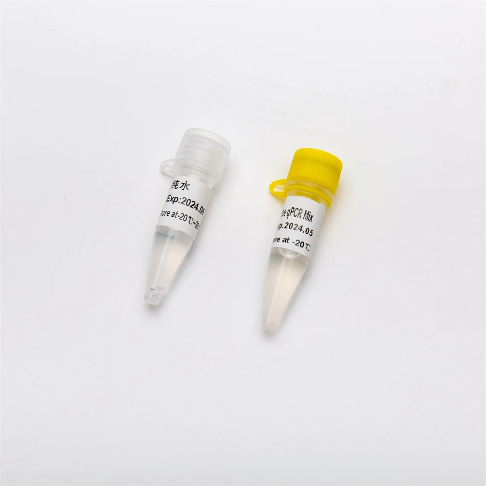 2x concentrated Hotstart Taq DNA Polymerase premix Multiplex Probe DNA qPCR Mix P2601