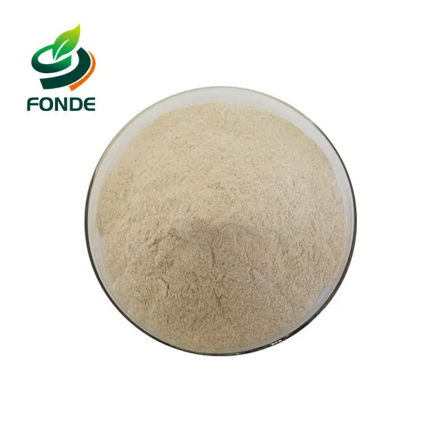 
Factory supply Alcalase,alkali protease,alkaline protease bulk powder 