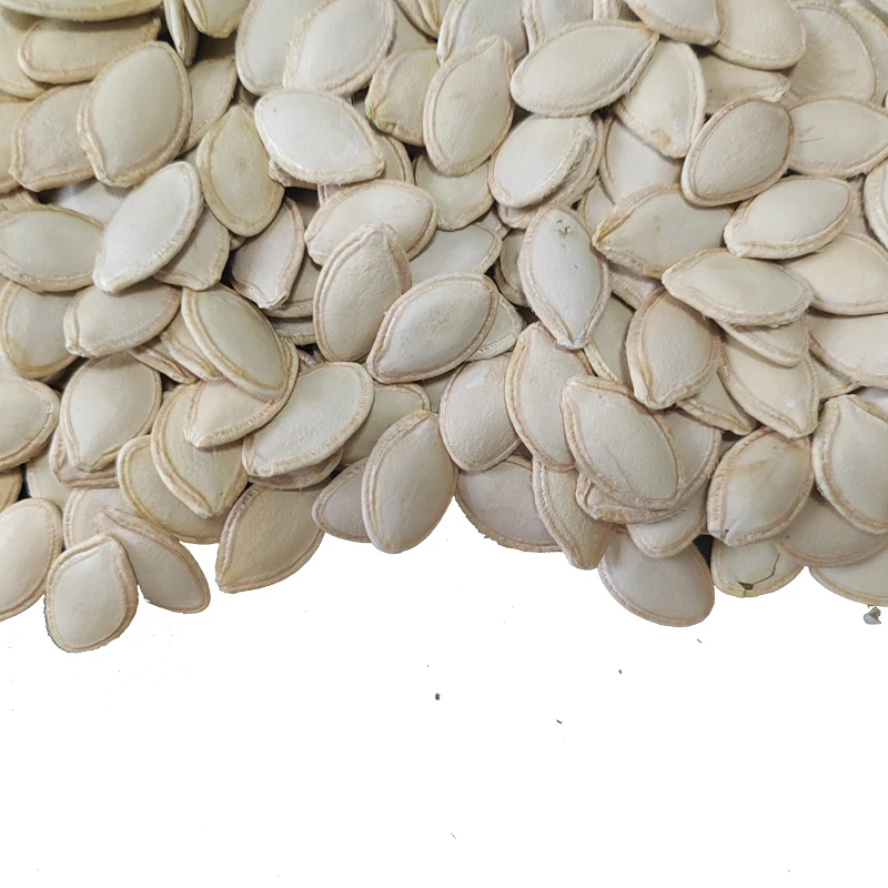2023 Crop Shine Skin Pumpkin Seeds Edible For Sale