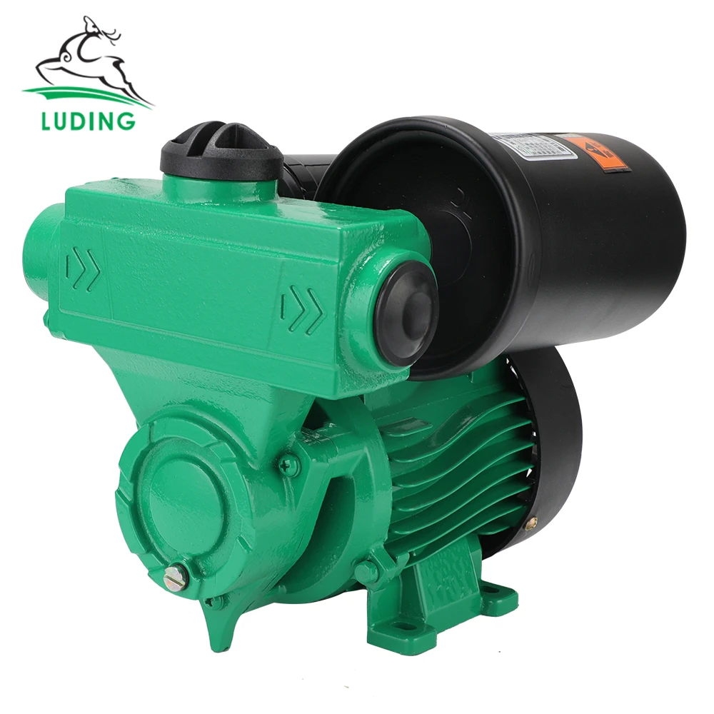 Family Homes Durable Economical Automatic Hot And Cold Water Self-Priming Pump
