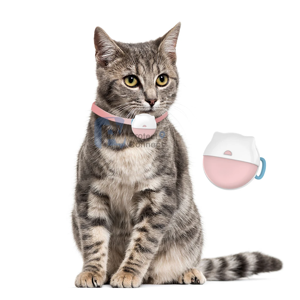Tracking Pets Daily Activities EVIEW New Generation 4G NB Kitty Puppy GPS Tracker Collar
