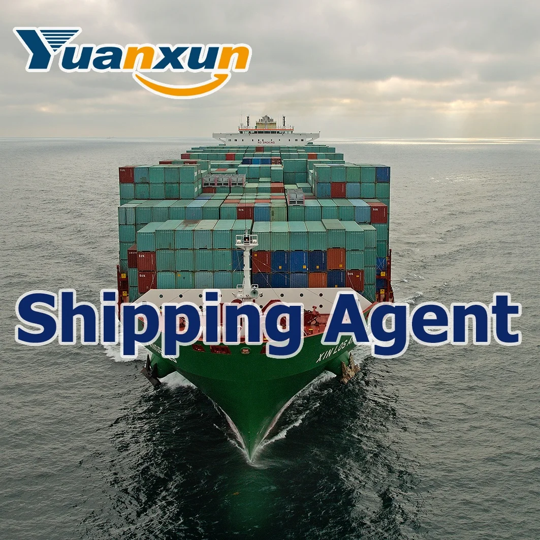 Forwarder Shipping To USA Cheap DDP Air/sea Cargo Services Shipping Rates FBA Freight Forwarder  To USA/Europe Logistics Agent