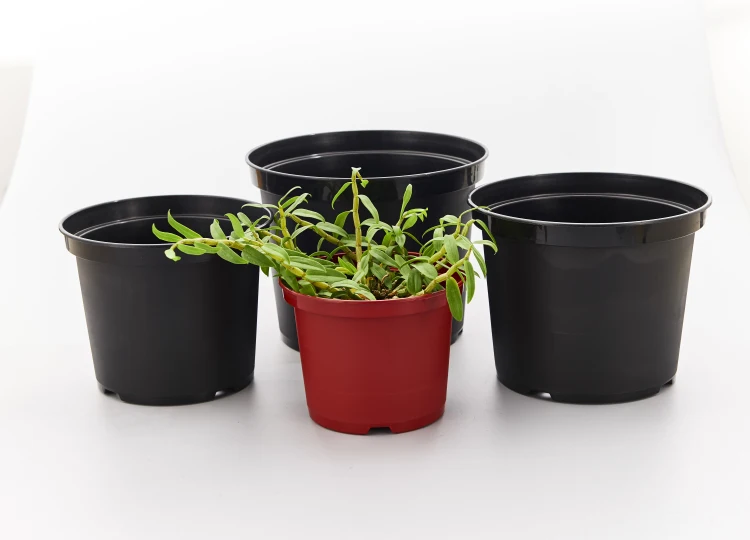 JA19 China Manufacturer Wholesale Plant Gallon Pots