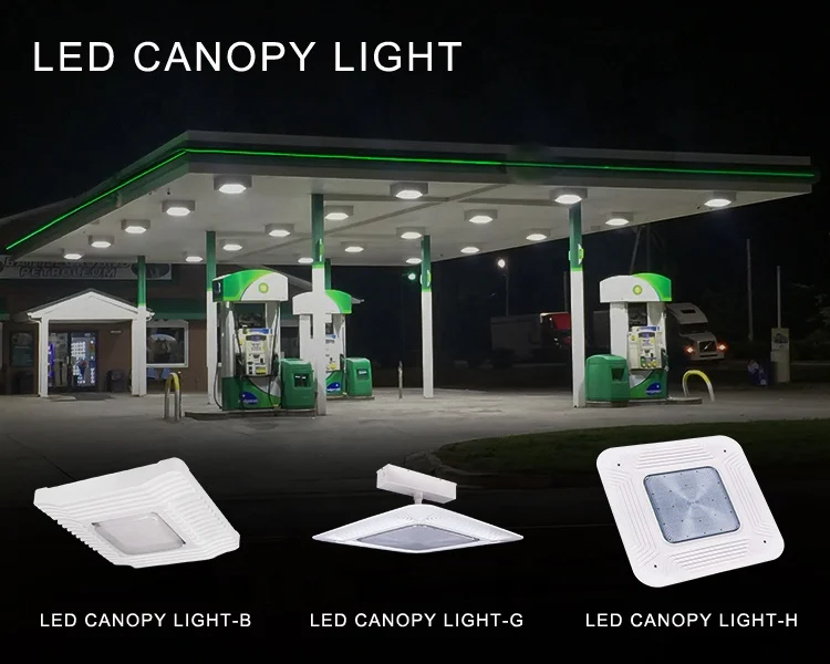 canopy light .jpg