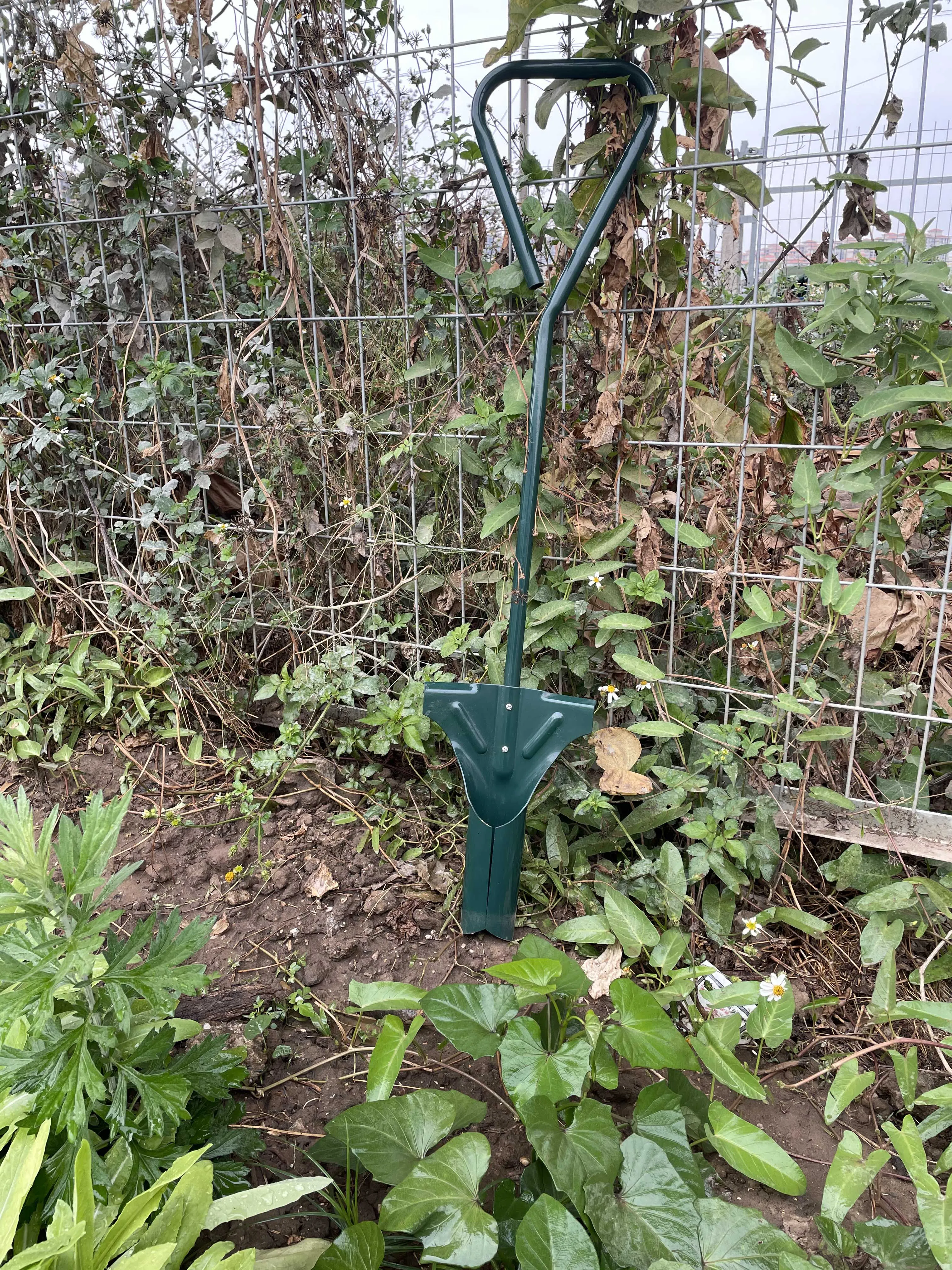 Amazon 2021 New Style High Quality Carbon Steel Garden Tool Bulb Planter