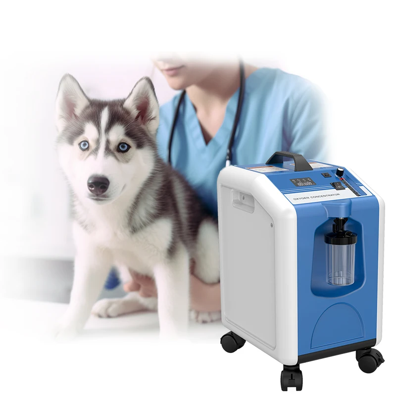 MICiTECH hot selling stabke performance animal pet veterinary  importer portable oxygen generator oxygen concentrator 10 lpm