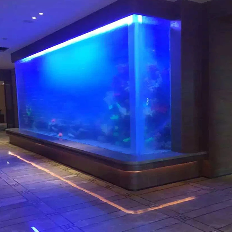 Goods in stock large sea water acrylic display case betta fish aquarium container