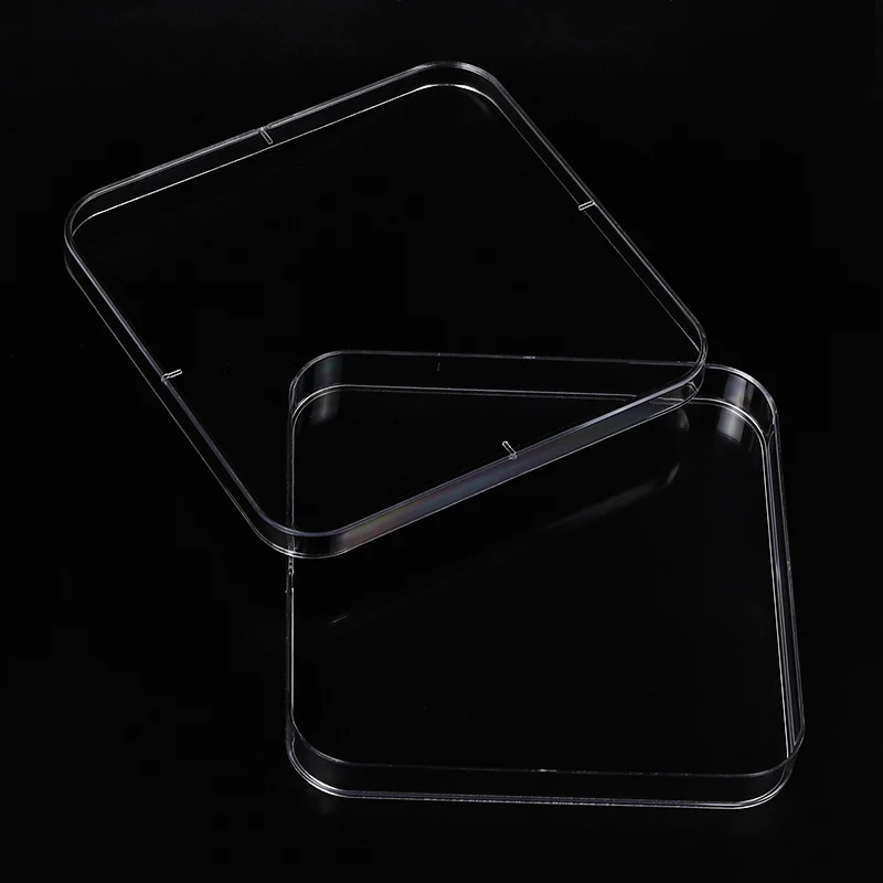 130mm square petri plastic cell culture petri dish