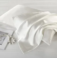 19 Momme 100% Pure Mulberry Silk Pillowcase for Hair and Skin  Allergen Proof Dual Sides Bed Pillowcase