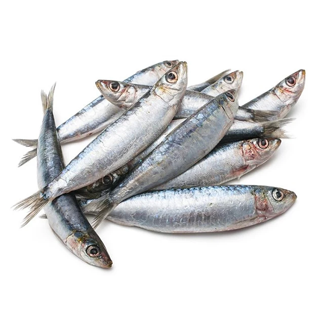 Seafood Cheapest and Good Quality Wholesale Frozen Sardine for Bait from China Export