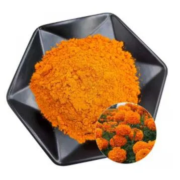 Marigold Flower Extract Powder Lutein 20%