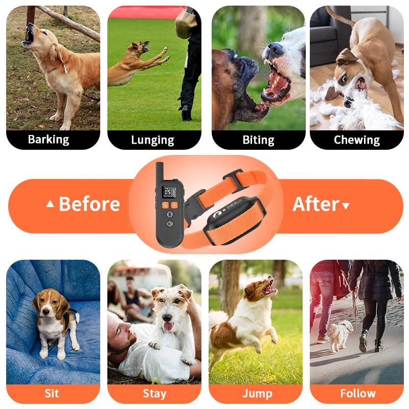 Waterproof Rechargeable 1000m Electric Dog Training Collar LCD Display Anti-Barking Remote Control Plastic Pet Training Supplies
